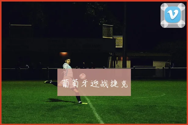 葡萄牙迎战捷克