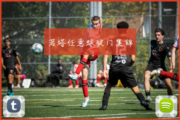 若塔任意球破门集锦