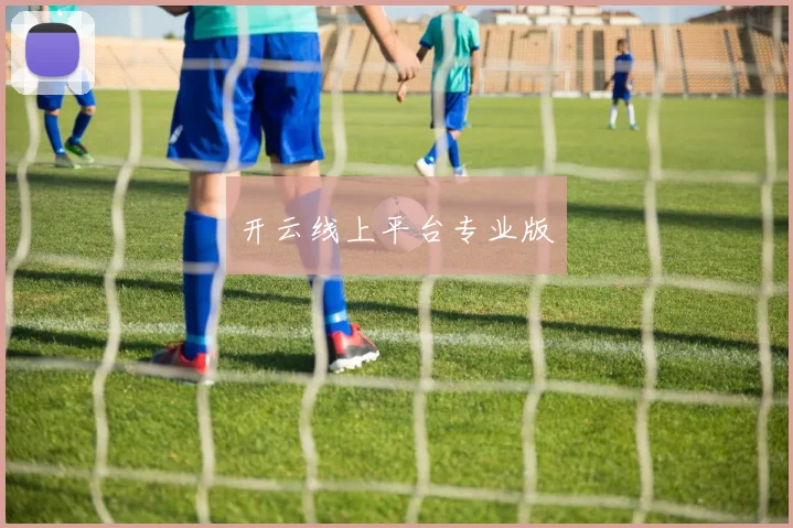 开云线上平台专业版