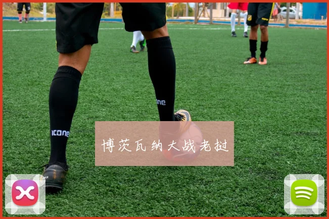 博茨瓦纳大战老挝