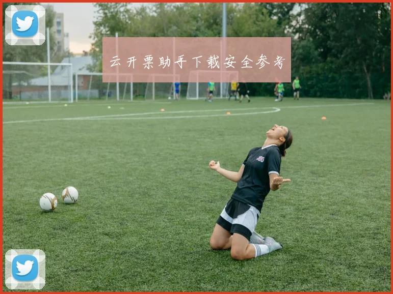 云开票助手下载安全参考