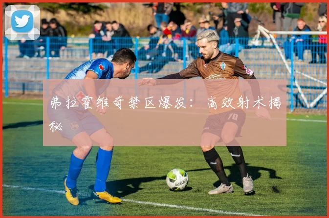 弗拉霍维奇禁区爆发：高效射术揭秘