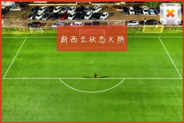 新西兰状态火热