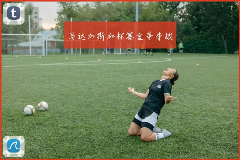马达加斯加杯赛金争夺战