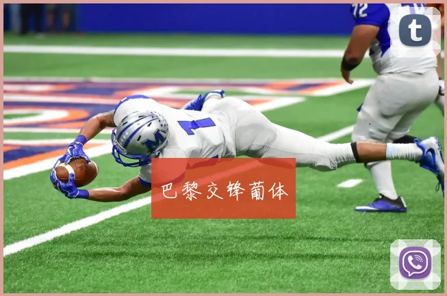 巴黎交锋葡体