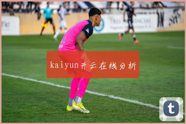 kaiyun开云在线分析