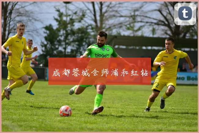 成都蓉城会师浦和红钻