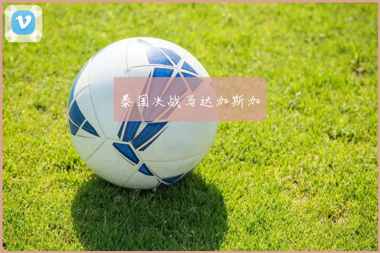 泰国决战马达加斯加