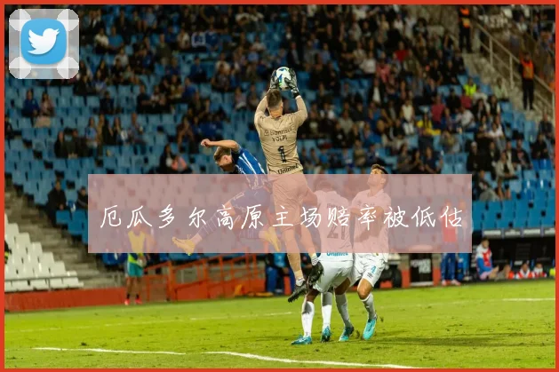 厄瓜多尔高原主场赔率被低估