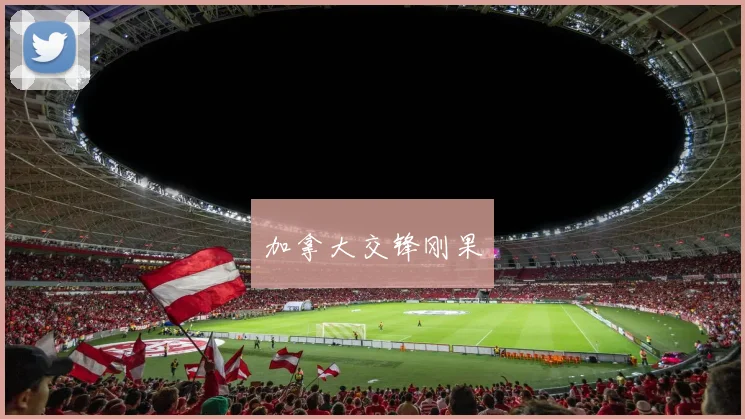 加拿大交锋刚果