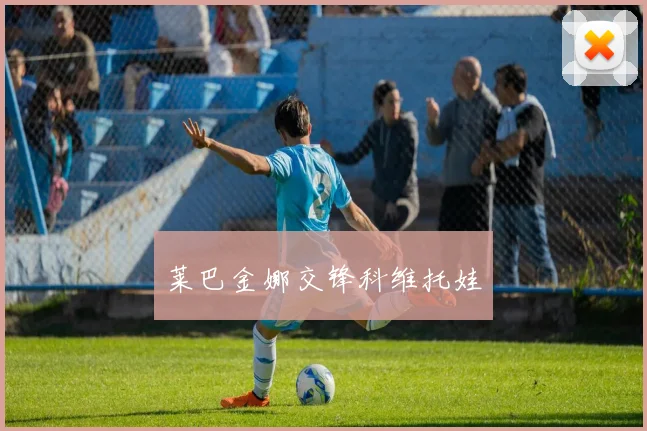 莱巴金娜交锋科维托娃