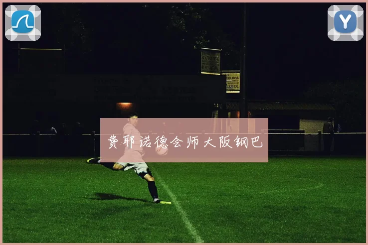 费耶诺德会师大阪钢巴
