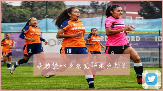 弗赖堡vs沙尔克04比分预测