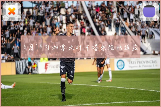 6月18日加拿大对卡塔尔场地适应