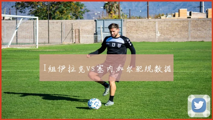 I组伊拉克vs塞内加尔犯规数据